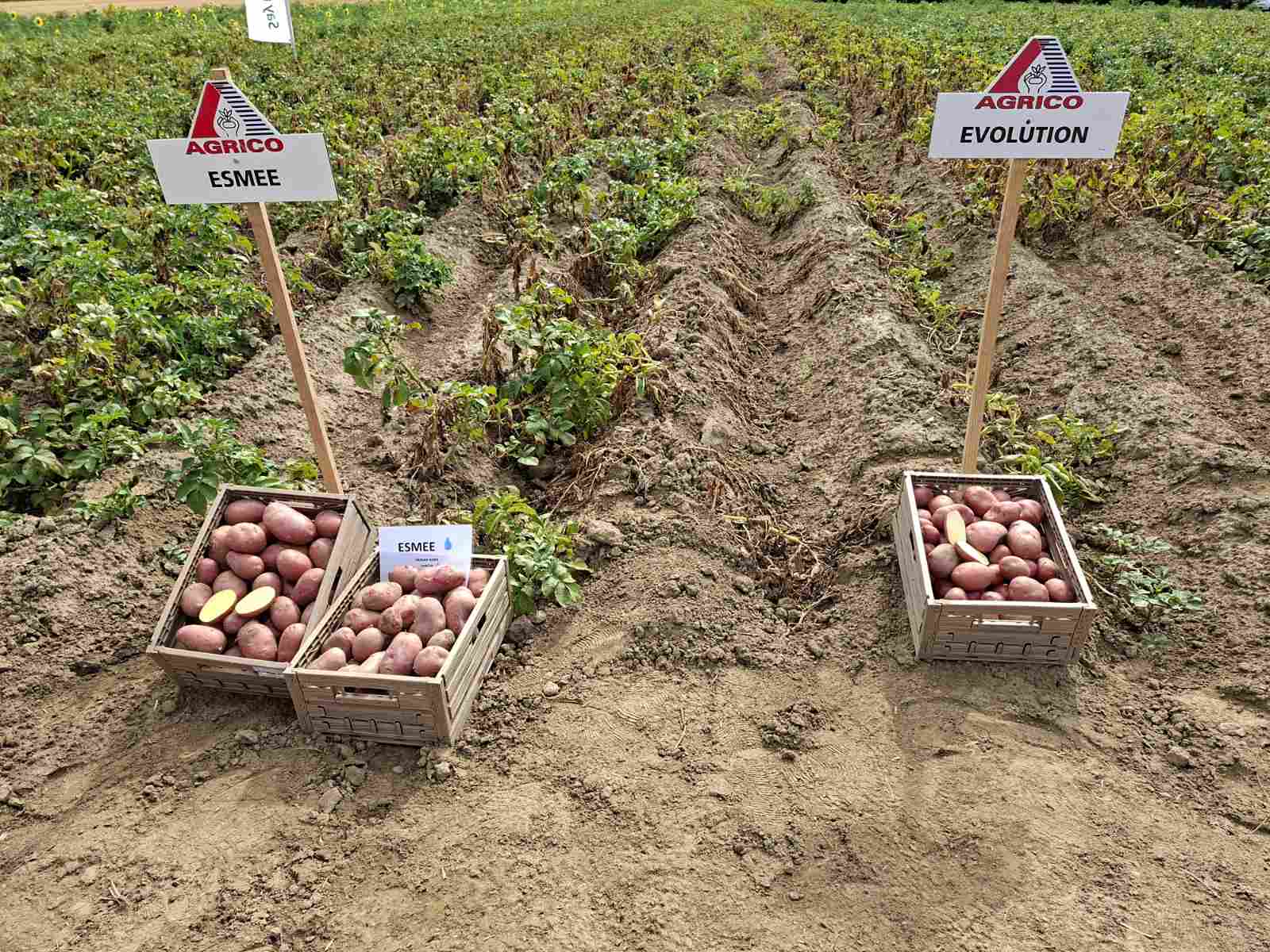 0 02 05 6d613efe84c58a04af2bbacbbef2b4950cb3375a6c1f56fa2492dfde9669274c 355b2d95cdd25241