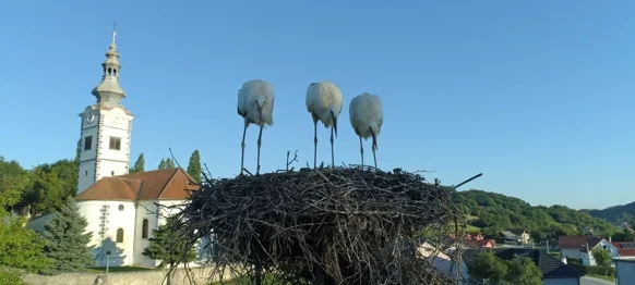 Jednoglasno izglasan proračun Općine Donja Voća