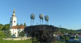 Jednoglasno izglasan proračun Općine Donja Voća