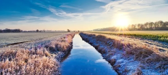 Ilustracija / Pixabay