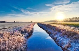 Ilustracija / Pixabay