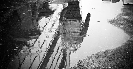 Ilustracija / Pixabay