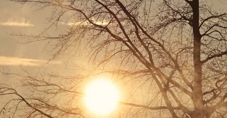 Ilustracija / Pixabay