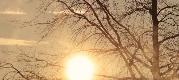 Ilustracija / Pixabay