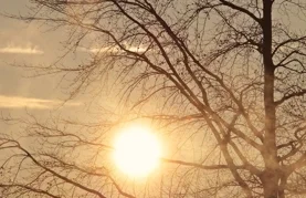 Ilustracija / Pixabay