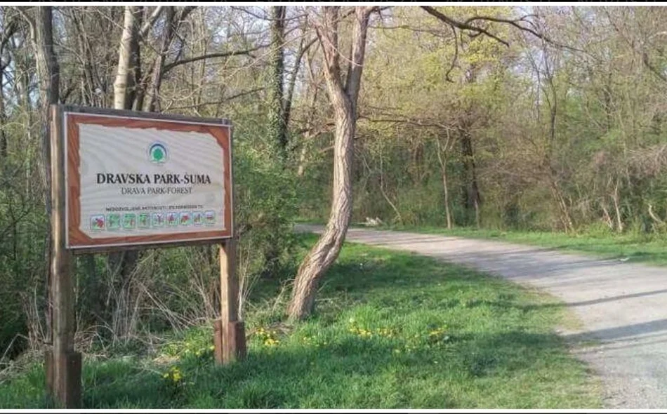 Dravska park šuma
