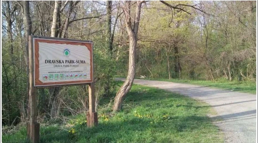Dravska park šuma