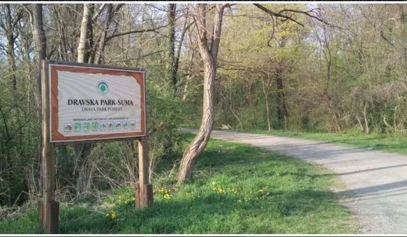 Dravska park šuma