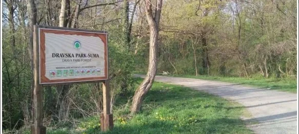 Dravska park šuma