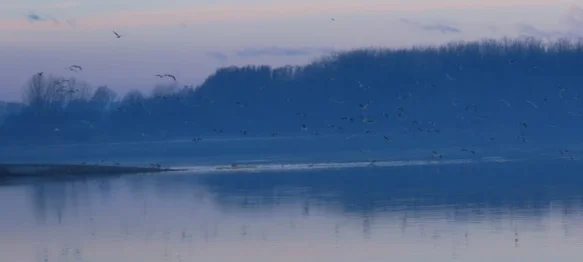 U tijeku je savjetovanje s javnošću povodom utvrđivanja lokacija za kupanje i trajanje sezone kupanja na gradskom kupalištu &ndash; Jezeru Motičnjak