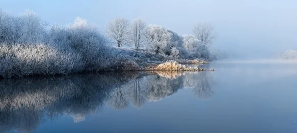 Ilustracija / Pixabay