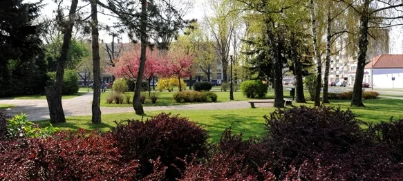 Grad Varaždin pokrenuo izradu Strategije zelene urbane obnove: U tijeku je anketiranje građana Varaždina