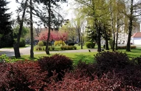 Grad Varaždin pokrenuo izradu Strategije zelene urbane obnove: U tijeku je anketiranje građana Varaždina