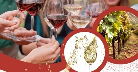 Pridružite se u subotu, 18. siječnja obilježavanju Vincekovog u općini Vidovec