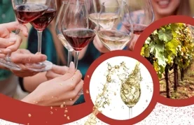 Pridružite se u subotu, 18. siječnja obilježavanju Vincekovog u općini Vidovec