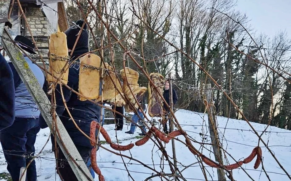 „Krštenjem” trsa započela nova vinogradarska godina u Varaždinskim Toplicama