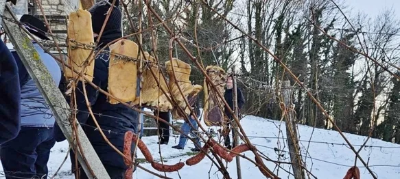 „Krštenjem” trsa započela nova vinogradarska godina u Varaždinskim Toplicama