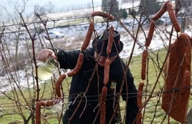 FOTO Vincekovo v Marofu okupilo brojne vinogradare i ljubitelje vina