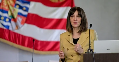 Divjak o Thompsonu: ZDS je neprihvaljiv, a župan neka ga prima u svojoj kući!