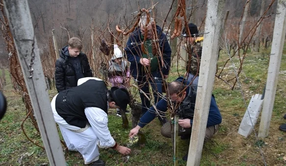 Cestički vinogradari na Lovrečan bregu orezali prvi trs i proslavili Vincekovo