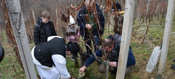Cestički vinogradari na Lovrečan bregu orezali prvi trs i proslavili Vincekovo