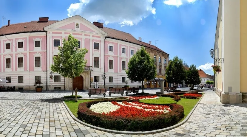 Varaždinska županija bira nove članove Savjeta mladih