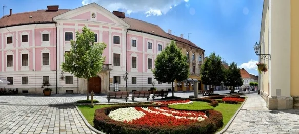 Varaždinska županija bira nove članove Savjeta mladih