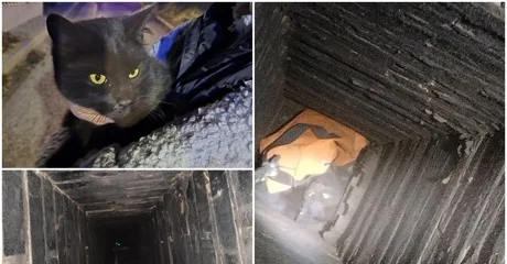 Ludbreški vatrogasci iz dimnjaka spasili zarobljenog mačića