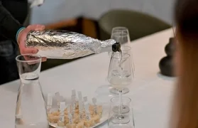 Pripreme i prikupljanje uzoraka vina varaždinskih vinara za 22. Decanter World Wine Awards