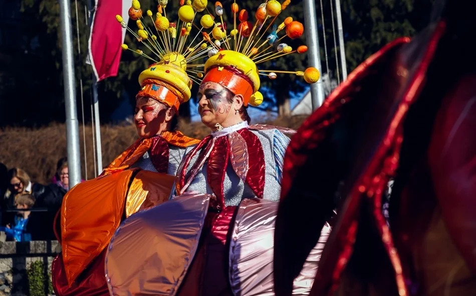 Toplički fašnjak: Tradicija, veselje, šarenilo i kreativnost na ulicama Varaždinskih Toplica