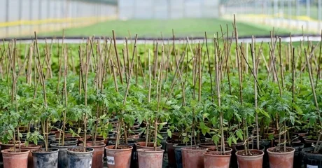 Poljoprivrednicima na raspolaganju 1,6 milijuna eura