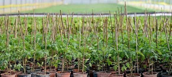 Poljoprivrednicima na raspolaganju 1,6 milijuna eura