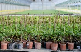 Oslobađanje od plaćanja doprinosa, jednokratne pomoći, moratorij na zaduženja...