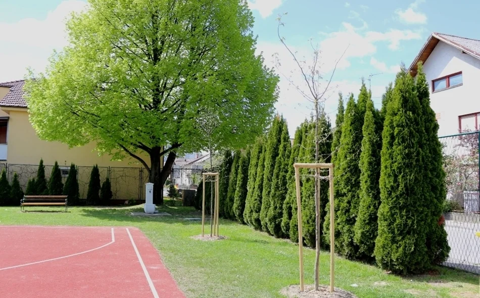 Varaždin zeleniji za gotovo 500 novih stabala