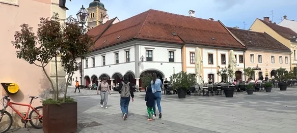 Varaždin uljepšale žardinjere i tegle sa stablima