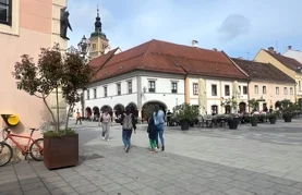 Varaždin uljepšale žardinjere i tegle sa stablima