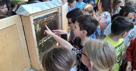 Obilježen Svjetski dan pčela: Djeca iz Kneginca podsjetila na važnost oprašivača