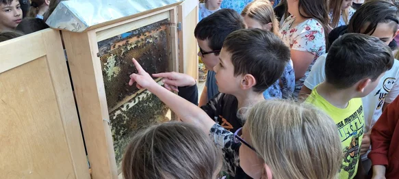 Obilježen Svjetski dan pčela: Djeca iz Kneginca podsjetila na važnost oprašivača