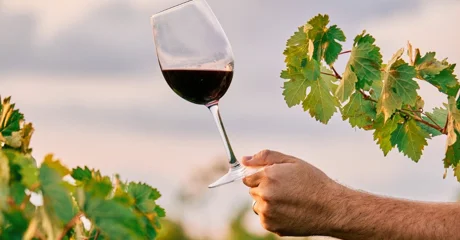 Roštilj, mlado vino, kesteni i &quot;Fiškali&quot; - ove subote ne zaobiđite &quot;Martinje v Marofu&quot;