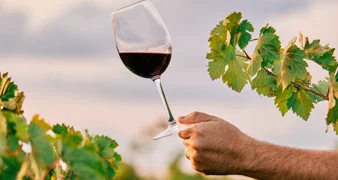 Sudjelujte na 33. Međunarodnoj izložbi mladih vina - evo kada i gdje morate donijeti svoje uzorke