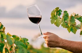 Voćansko Vincekovo &ndash; jedinstveni pohod kakvog nema nigdje u Hrvatskoj