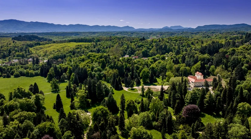Arboretum Opeka
