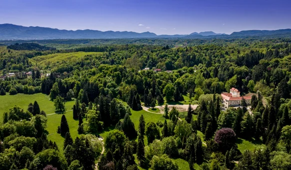 Arboretum Opeka