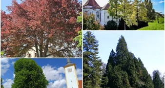 Dio nominirah stabala u izboru varaždinskih Parkova