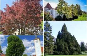 Dio nominirah stabala u izboru varaždinskih Parkova