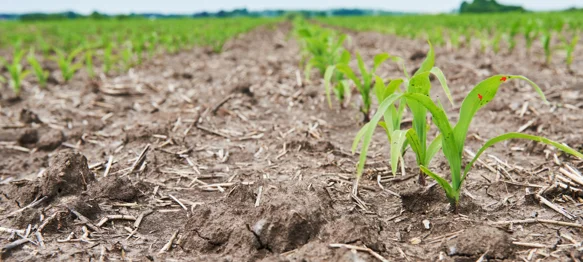 Zbog klime će se morati mijenjati osnovne agrotehničke prakse