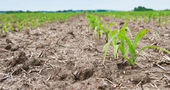 Zbog klime će se morati mijenjati osnovne agrotehničke prakse