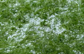 Tuča ponovno natjerala župana na proglašenje prirodne nepogode