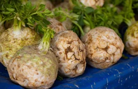 &bdquo;Gdo na srcu ima feler, navek mora jesti celer&rdquo;