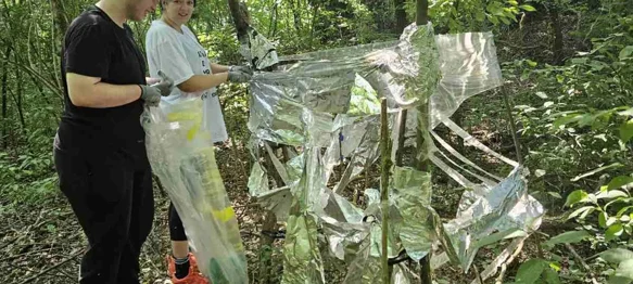 Brojni volonteri uspješno očistili Dravsku šumu i obalu rijeke Drave